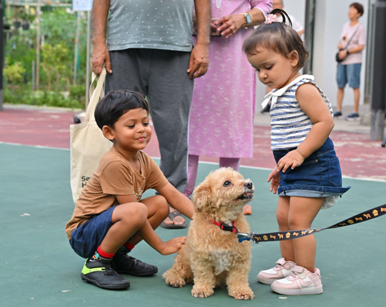 Young kids patting furry dog